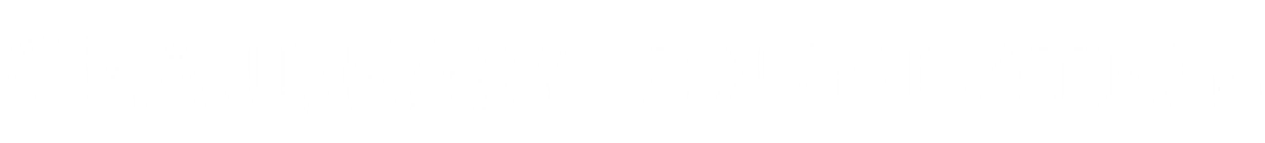 DGI Partner Chaudhary Foundation logo