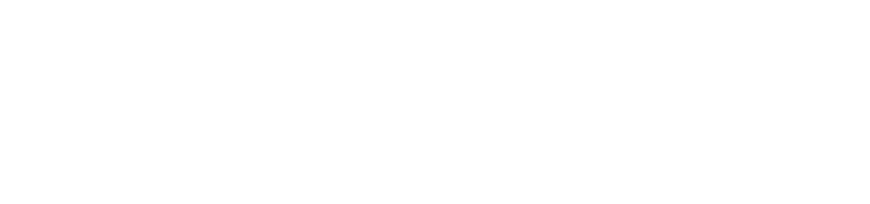 DGI Partner GuideStar India logo