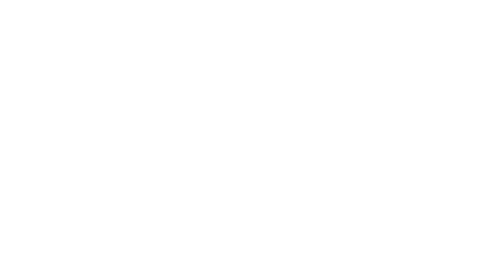 Sustainable Development Policy Institute (SDPI)